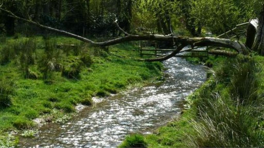 Lincolnshire chalk stream project gets funding for conservation BBC News
