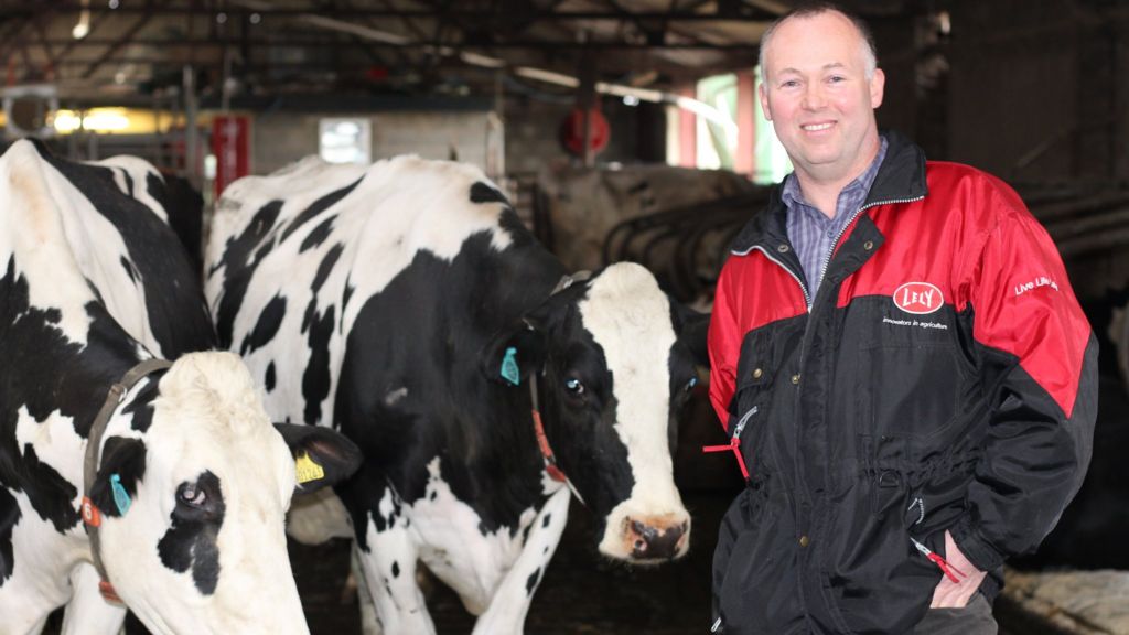 The dairy farmer betting on a different kind of milk