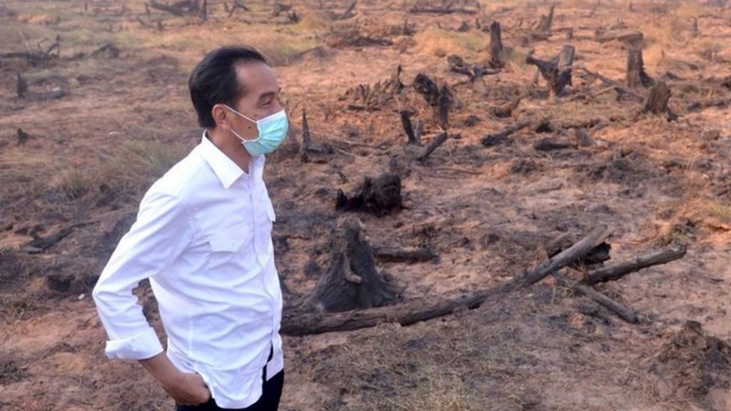 Indonesia 'needs time' to tackle haze