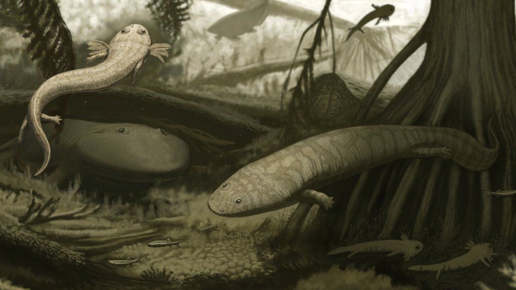 Fanged eel among Brazil fossil finds