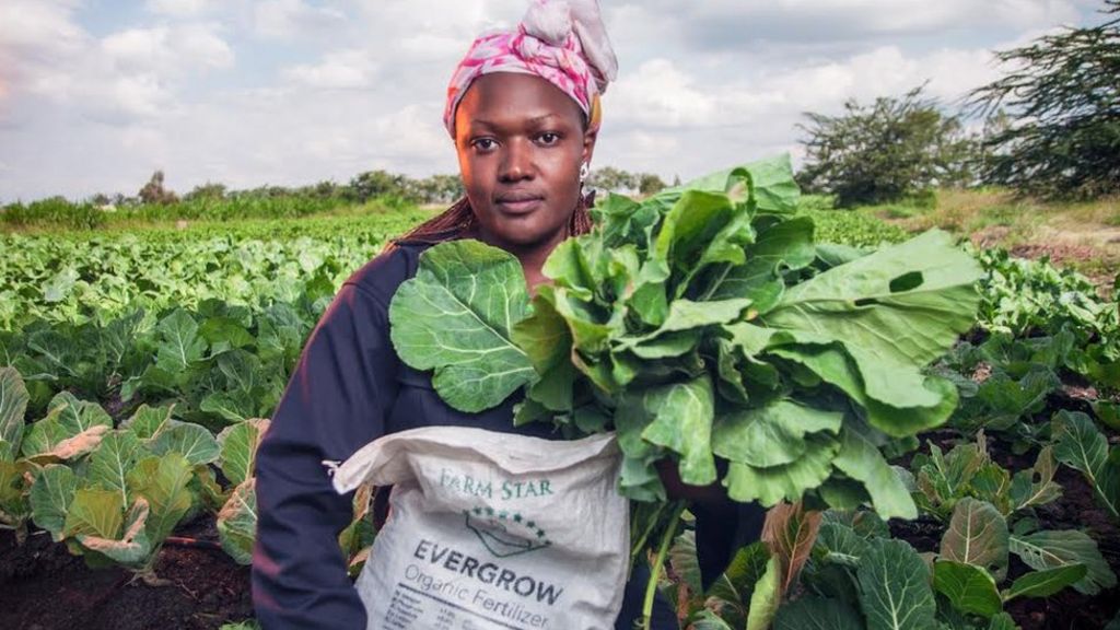 Toilet tech proves that where there's muck there's brass