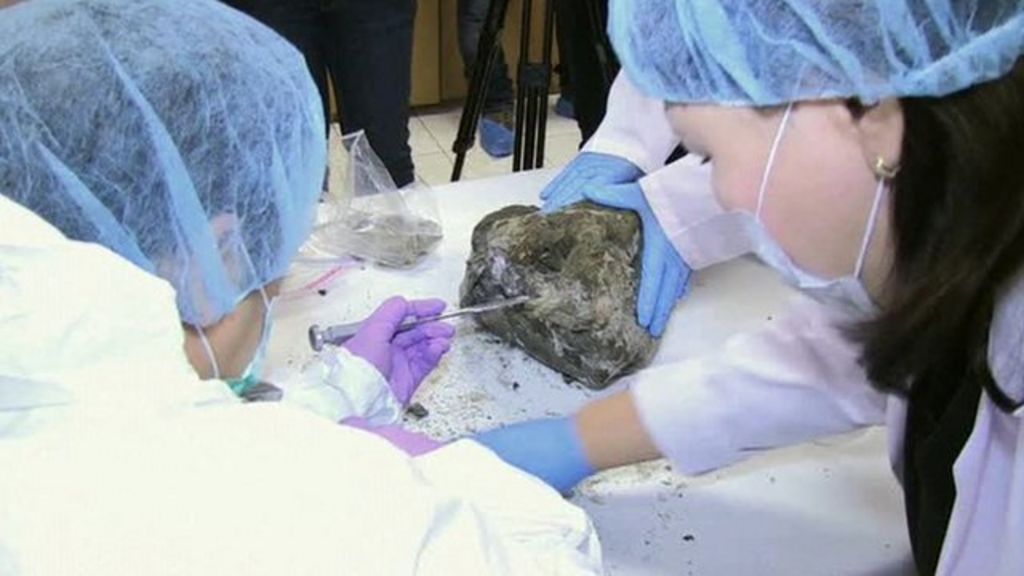 VIDEO: Can scientists clone extinct cave lion?