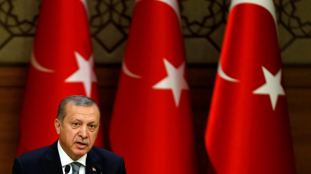 Turkey's Erdogan to drop lawsuits against people who insulted him