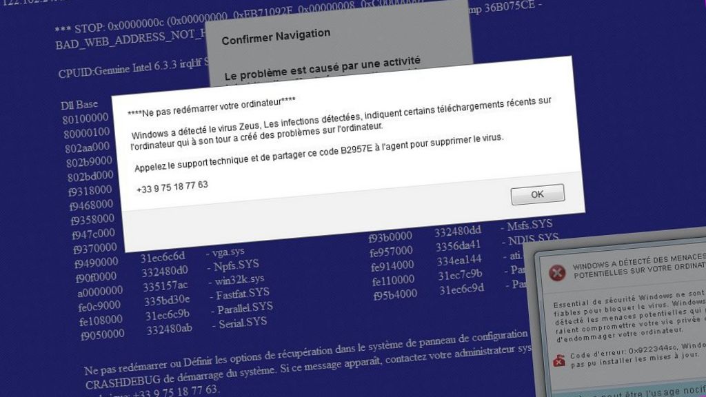 Blogger turns tables on cyber-scammer
