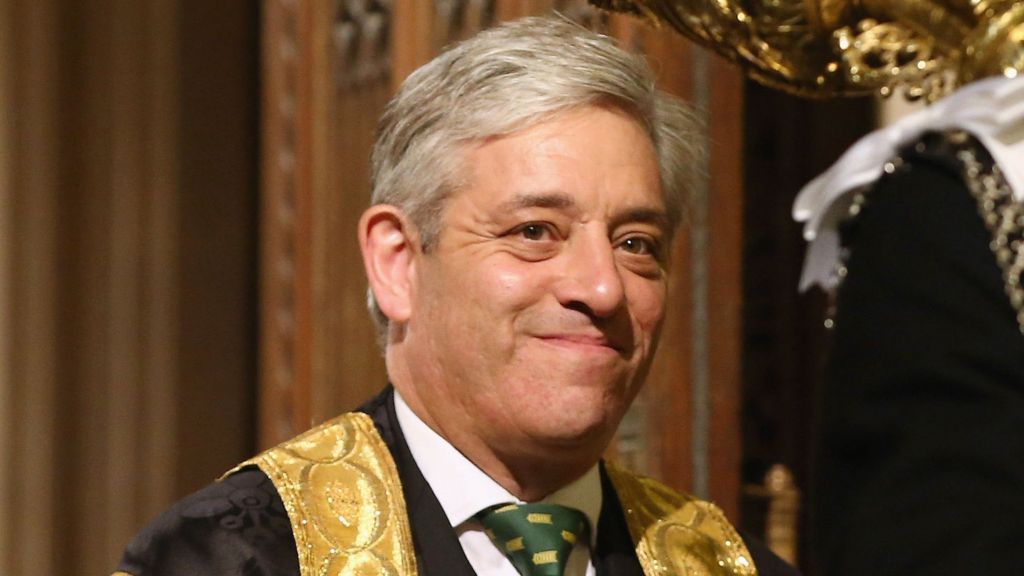 Campaign to remove John Bercow 'undignified' says Tory MP