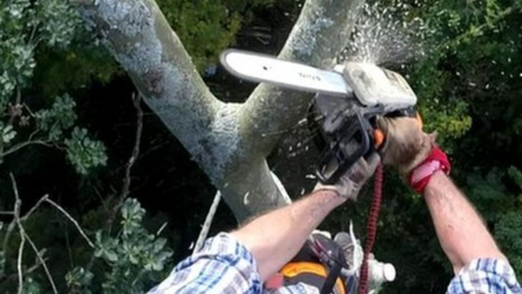 VIDEO: How an ash tree is turned into a spoon