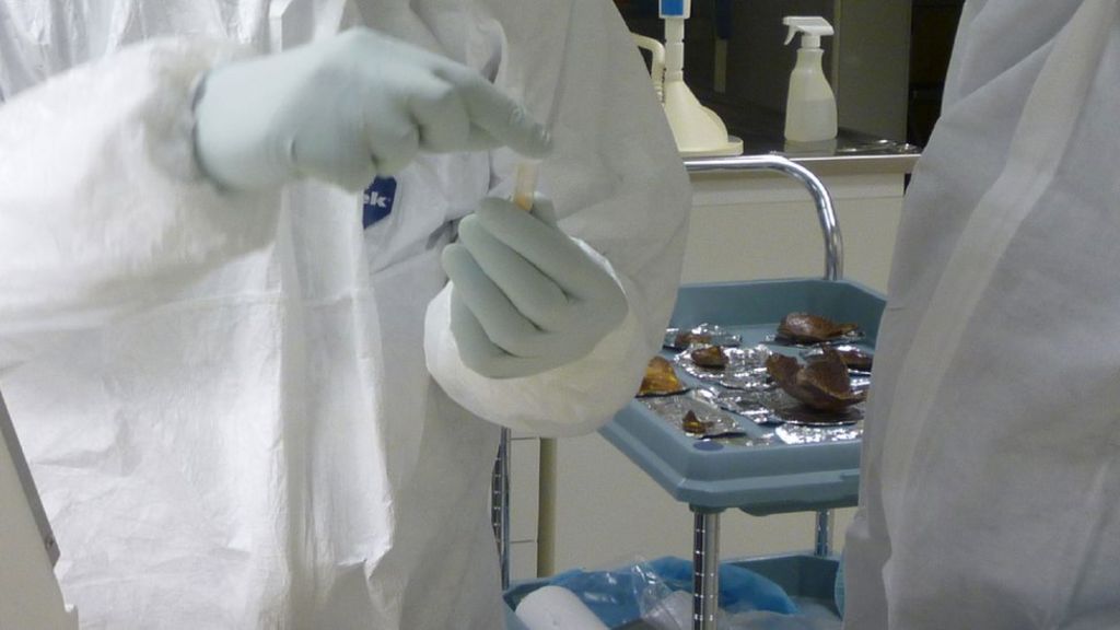 Piltdown review points decisive finger at forger Dawson