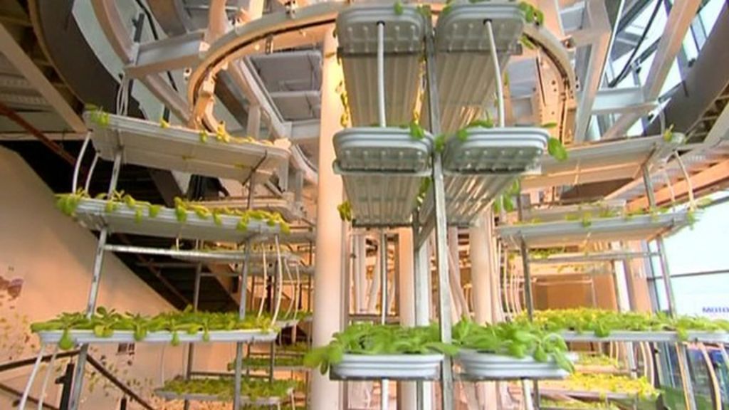 Lettuce towers and office block farms - is this the future?