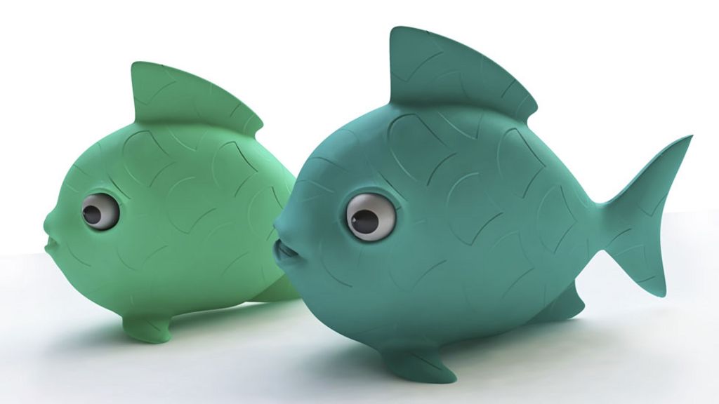 Will there be more fish or plastic in the sea in 2050?