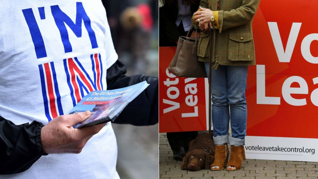 EU campaigns 'misleading voters'