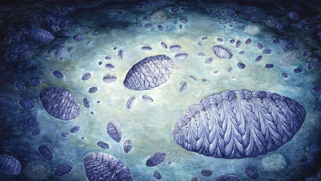 Ancient life form's complex sex life