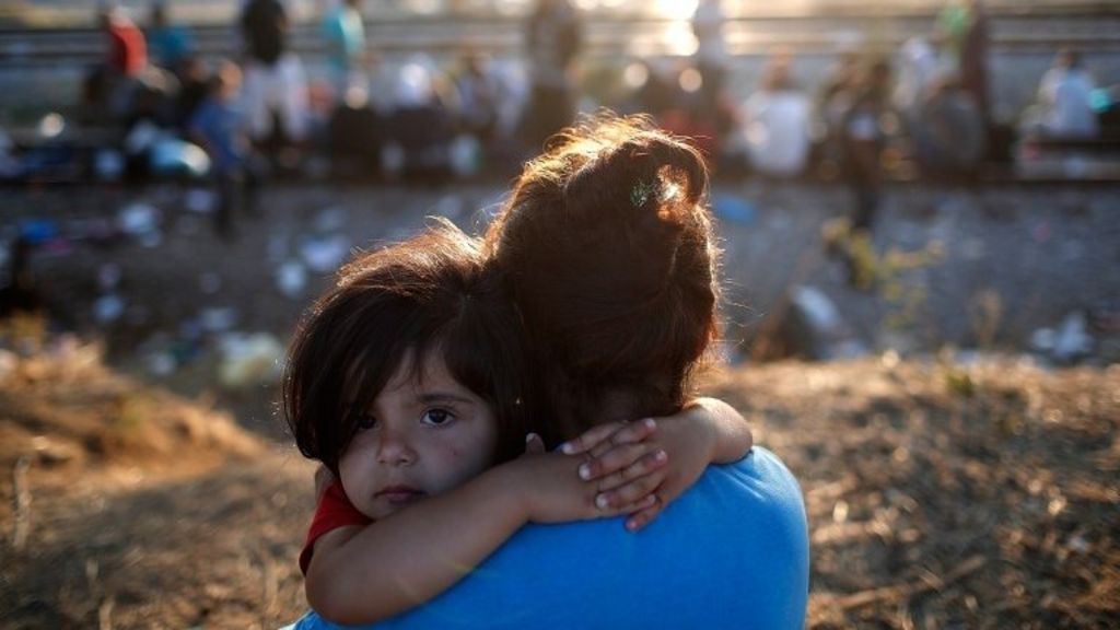 Pressure grows over Syrian refugee call