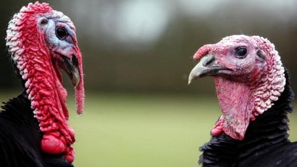 Christmas dinner 'to cost less in 2015'