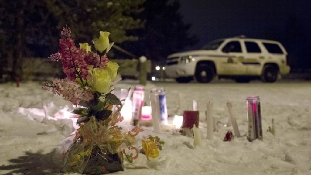 Teenager charged over Canada shootings
