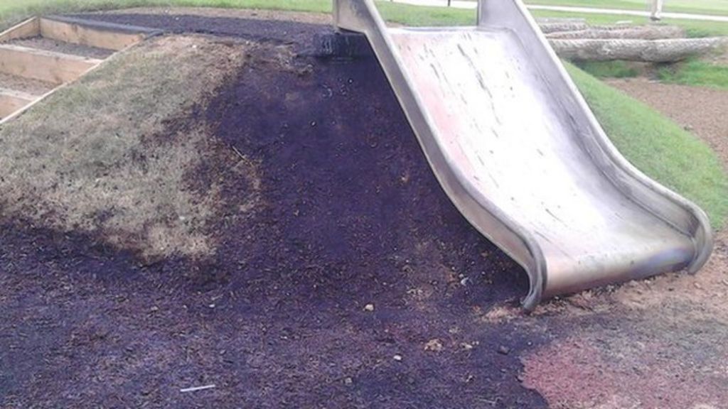 Boy arrested over fire at park