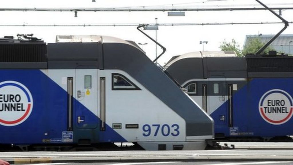 Migrant dies on Channel Tunnel train