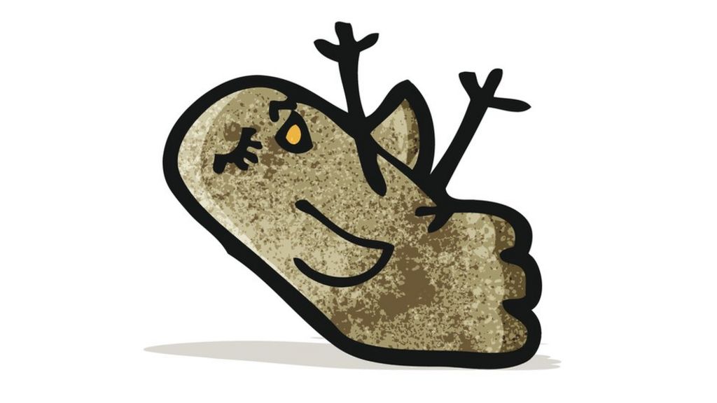 What is a warrant canary?