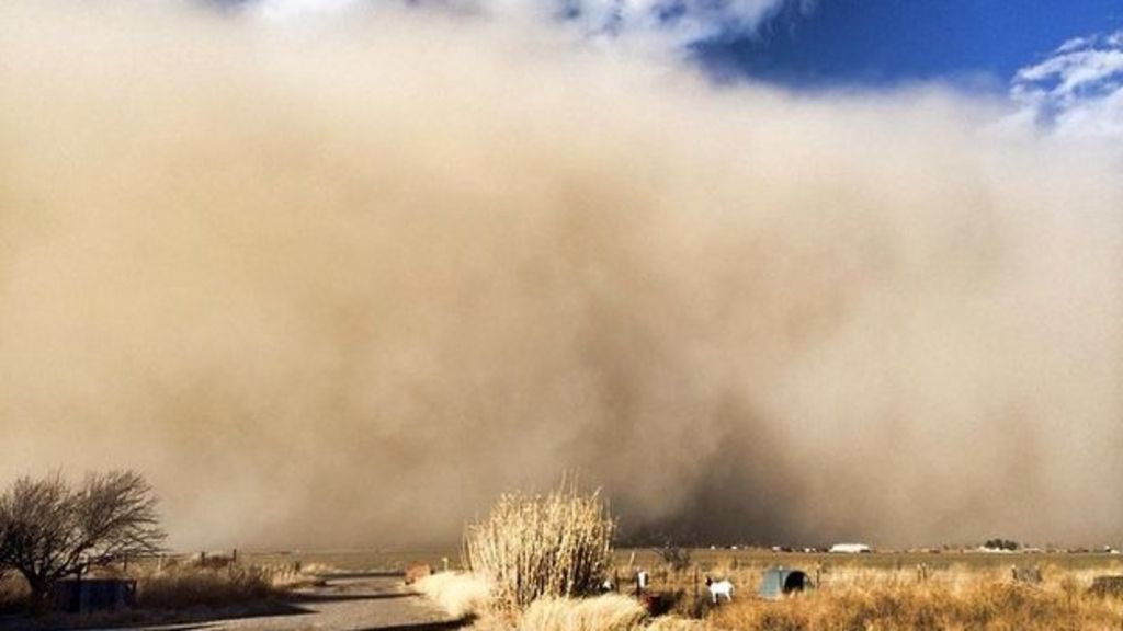 US scientists warn on 'dustbowl' risk