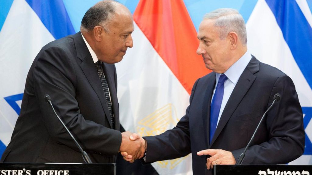Israel and Palestinians: Egypt FM urges two-state solution in rare visit