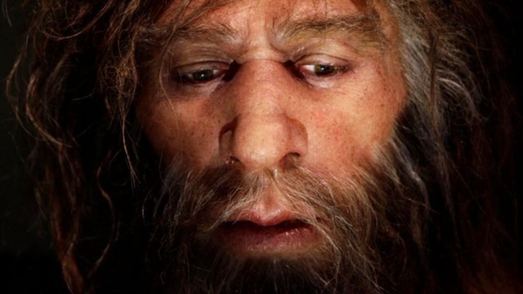 VIDEO: Did Neanderthals create stone rings?