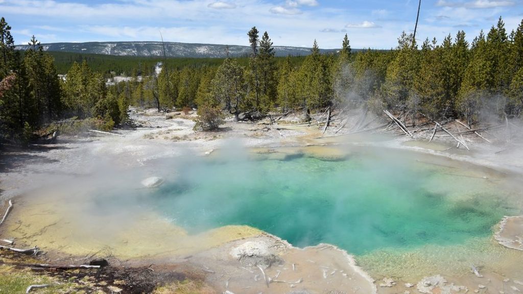Man dies in Yellowstone hot spring