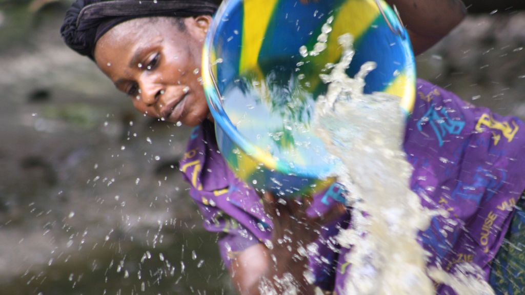 Conservation 'failing Congo rainforests'
