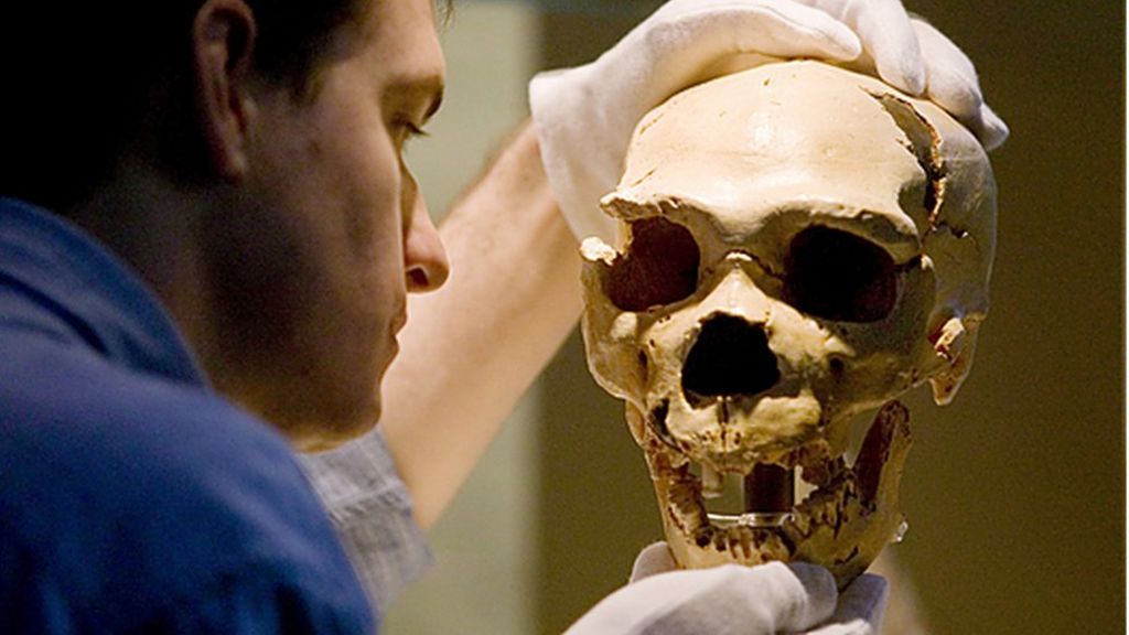 New insight into secret lives of Neanderthals