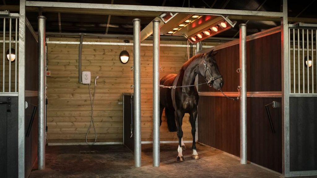 What is a horse solarium?