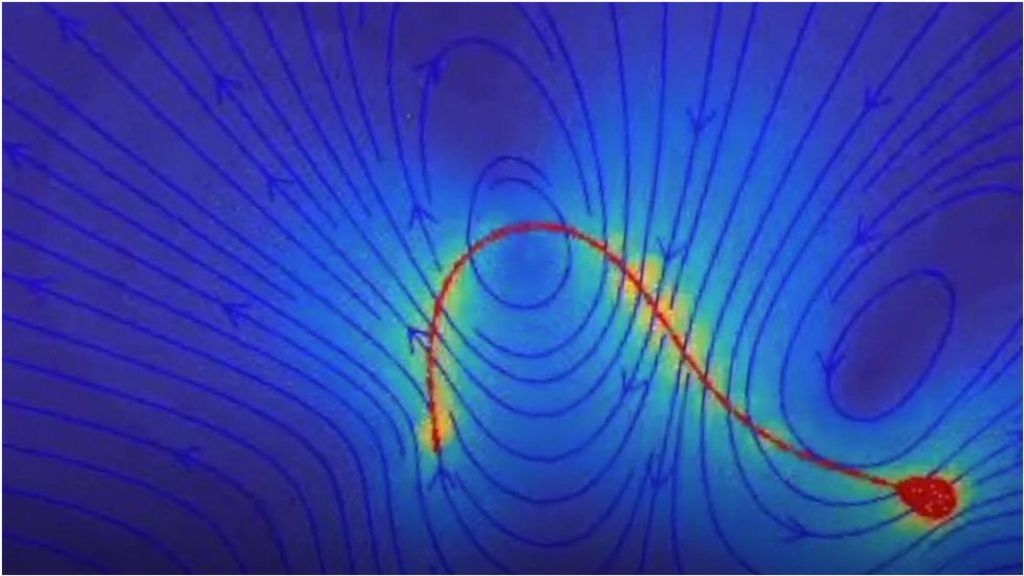 Secret of a sperm's success