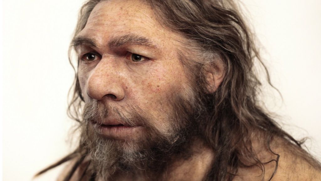 Neanderthal genes 'boosted our immunity'