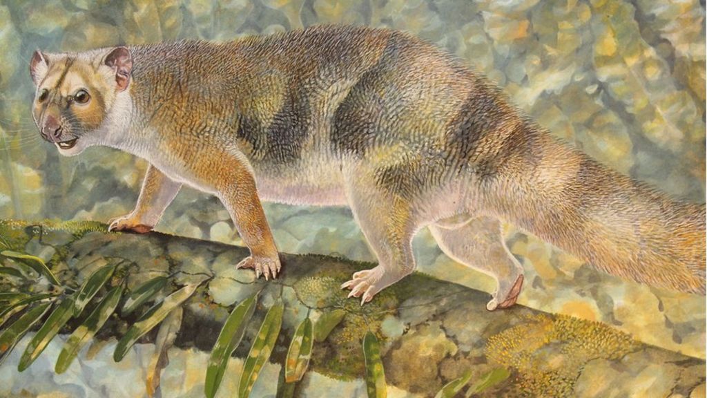 Extinct 'lion' named after Attenborough