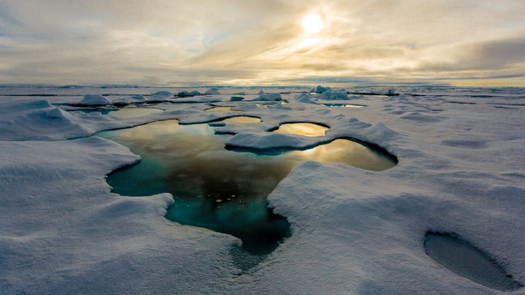 Melt ponds suggest no Arctic sea-ice record this year