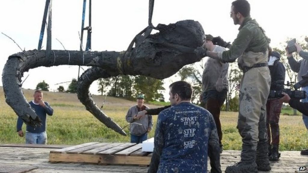 VIDEO: Farmers find woolly mammoth skeleton
