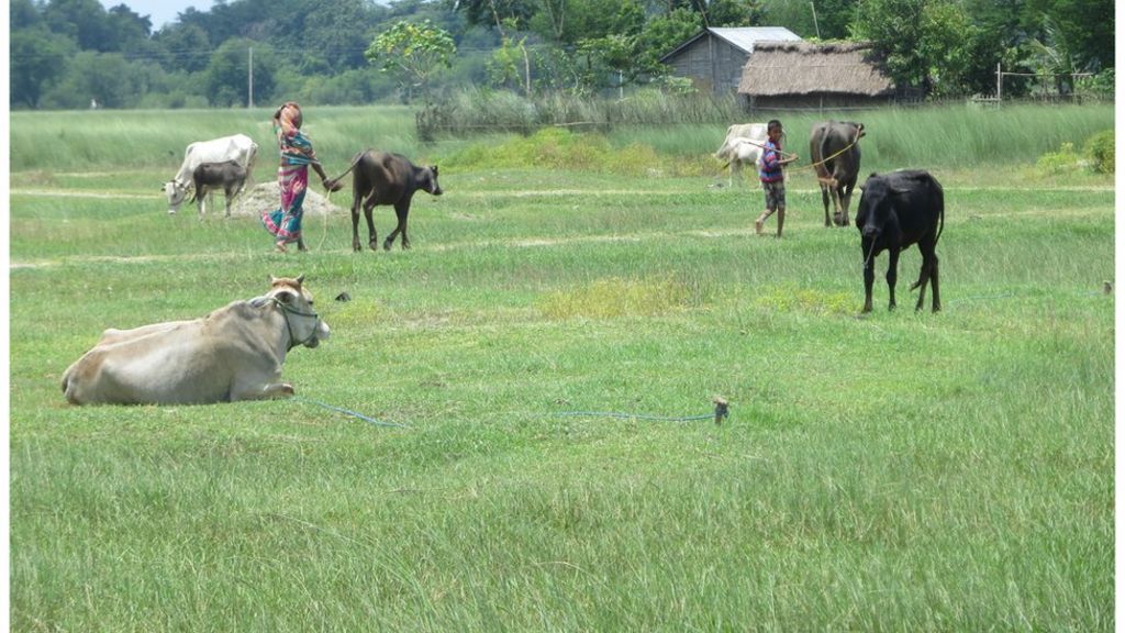 India and Nepal concern over Tibet flood advice gap