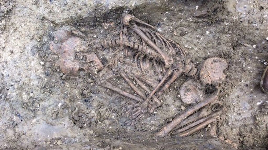 Bronze Age skeleton found at dig