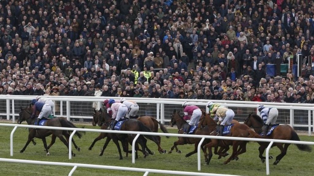 Horsing around at the races