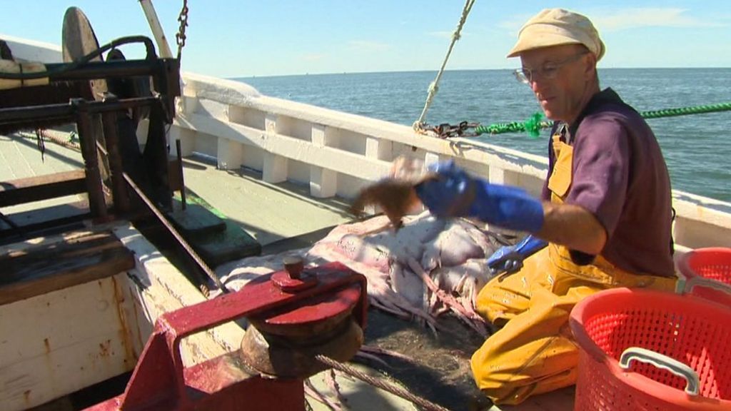 EU exit debate splits opinion in Fleetwood fishing town