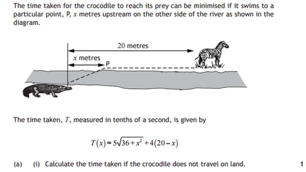 Crocodile maths question 'was challenging' - BBC News