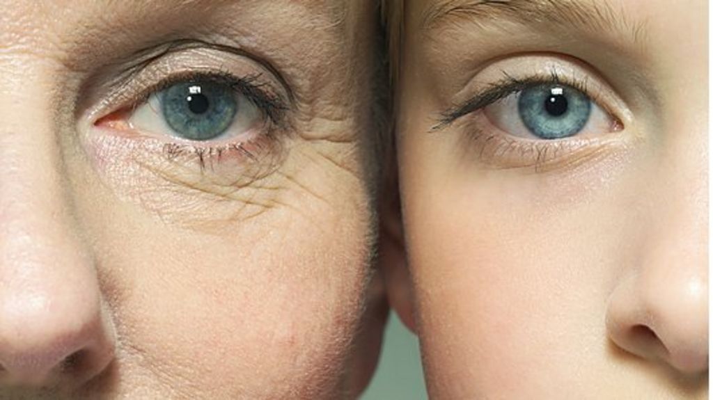 'Key piece of ageing puzzle' identified