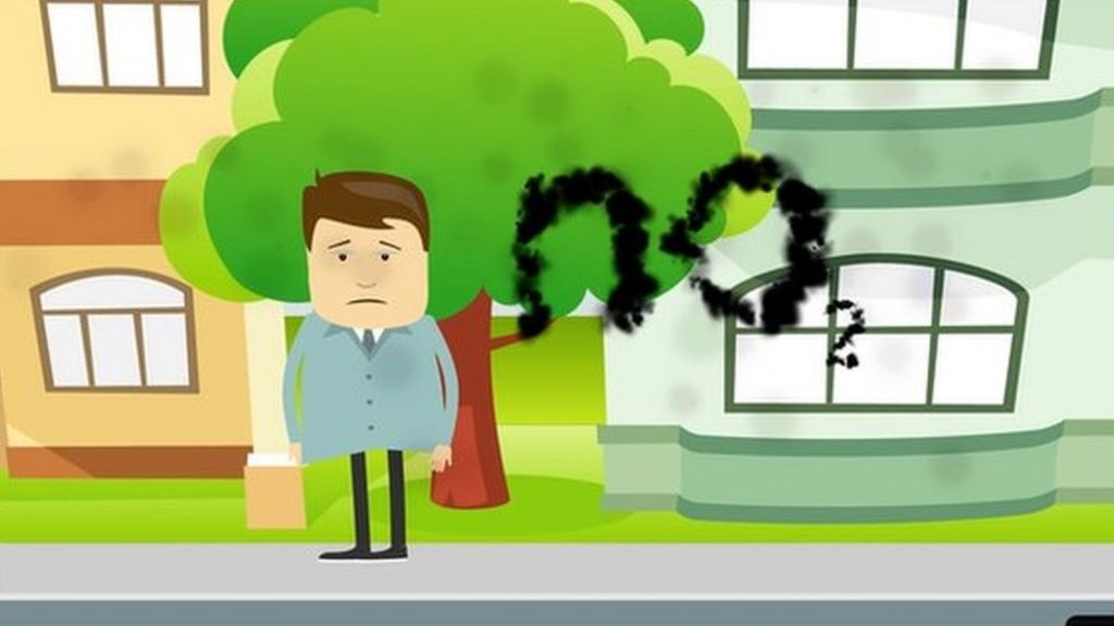 What does air pollution do to our bodies? BBC News