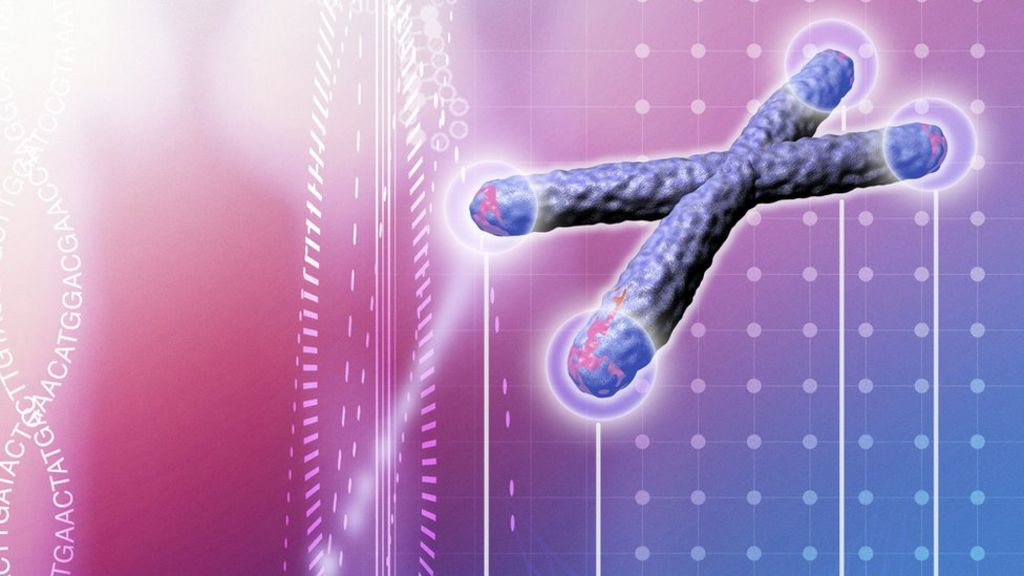 Microsoft Excel blamed for gene study errors