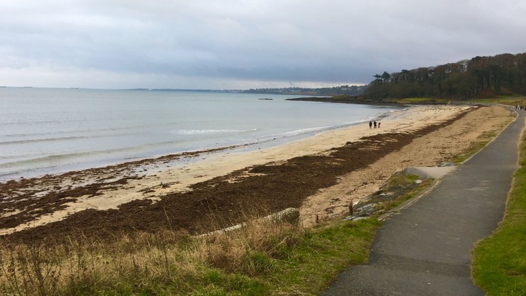 Warmest December day since 1994 recorded