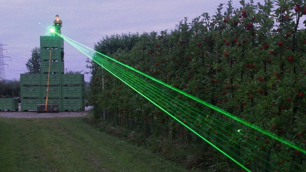 Rat-scaring laser trial to protect crops
