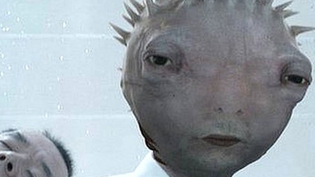 VIDEO: How architects build careers in film