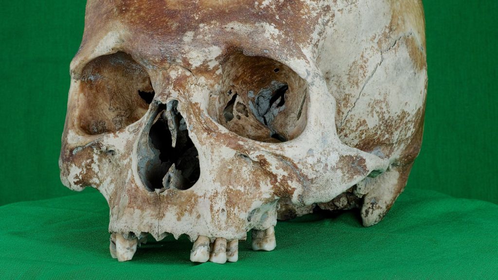Mary Rose: How the dead were digitised