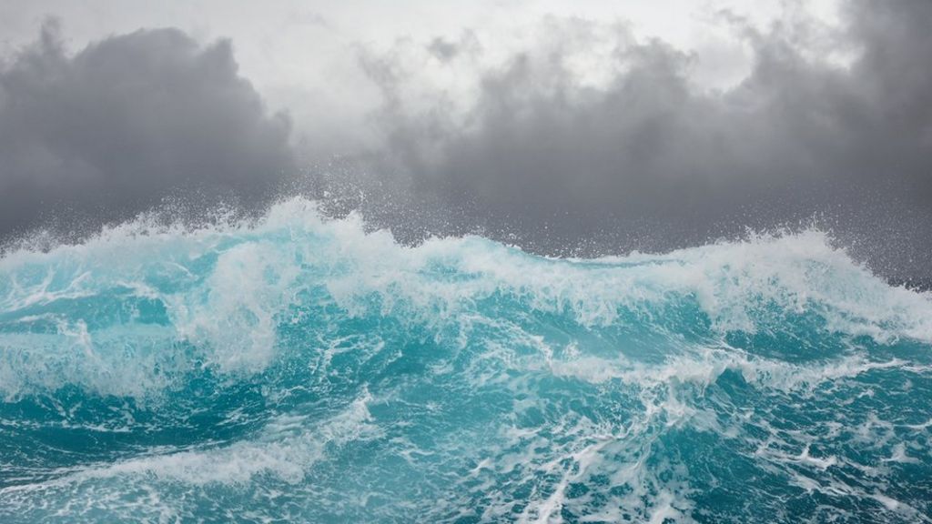 Ocean plants 'can help freeze clouds'