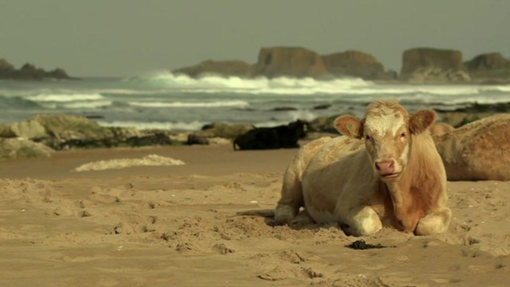 VIDEO: Mapping UK coast for industrial damage