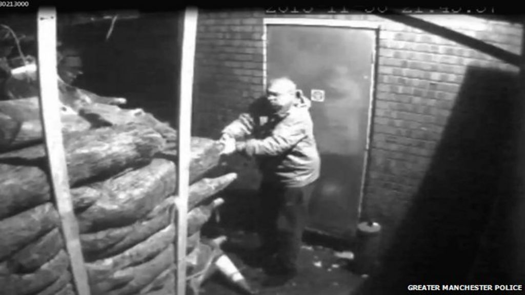 VIDEO: CCTV 'shows theft of Christmas trees'