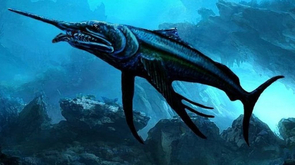Dinosaurera 'swordfish' discovered in outback Australia BBC News