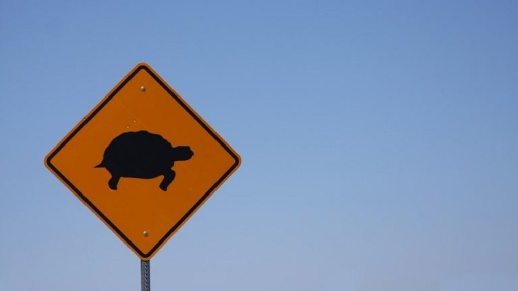 Why the mobile web runs so slow